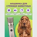 Фен для волос PROFESSIONAL CRONIER CR-6699/BL