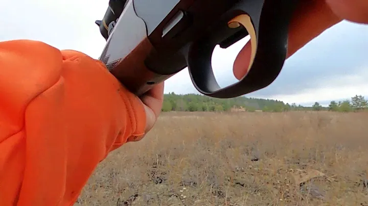 Blaser R8 30-06 Касуля 8 ноября 2020