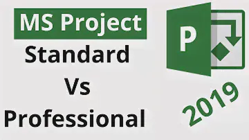Difference Between MS Project Professional And MS Project Standard