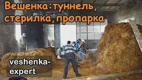 Туннель пастеризации субстрата вешенки, атмосферная стерилка.  Пропарка в баке