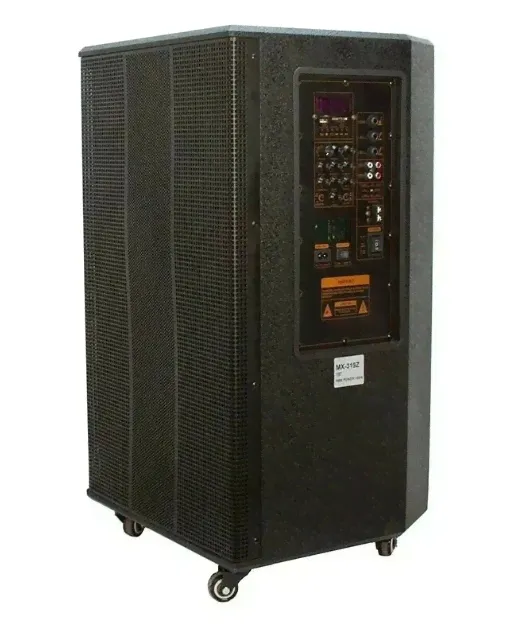 Акустическая система ElTRONIC 20-60 Professional Box черная-2
