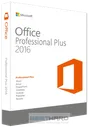 Microsoft Office 2016 Professional Plus SNGL OLP [79P-05552]