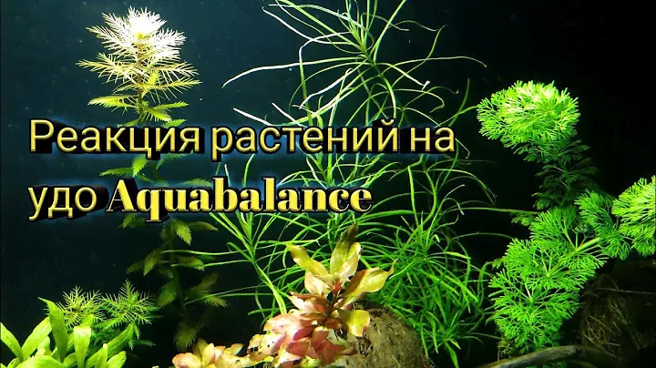 Реакция растений на Макро