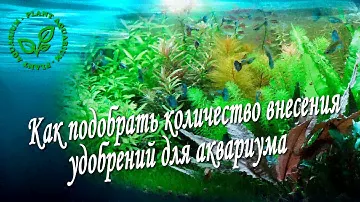 Как подобрать количество внесения удобрений для аквариума