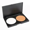 Сухой корректор professional make up P2