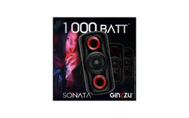 Портативная беспроводная блютуз колонка SONATA / Акустическая система MIDI GM-233 Professional Sound с функцией Bluetooth v5.0, Гарантия 2 года, 100Вт RMS, USB, microSD, TWS, FM-радио, пульт ДУ, карао