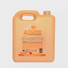 ANGEL PROFESSIONAL Шампунь для сухих и нейтральных волос / Angel Profession