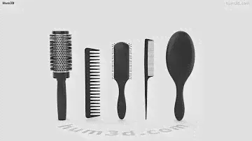 Hair Brush Set 3D model by 3DModels.org