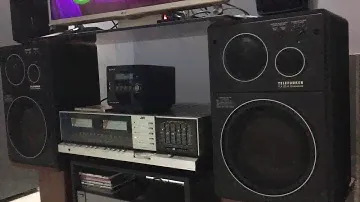 Telefunken TLX 22/4 Professional