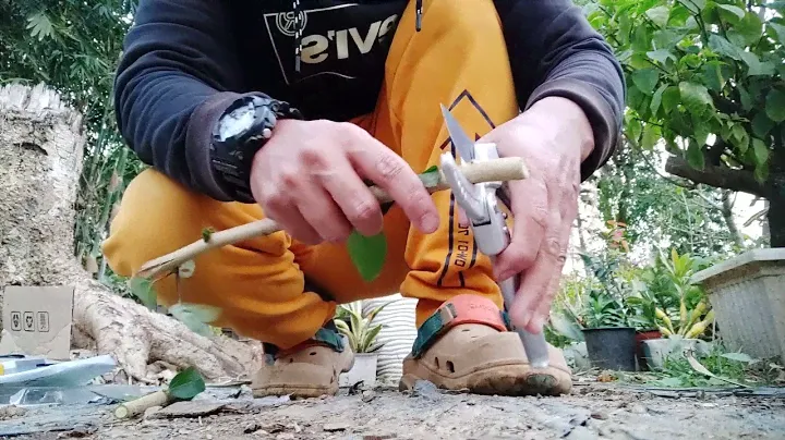 Sharpex Ratchet Pruner Garden tools unboxing