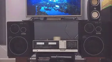 Telefunken TLX 22/4 professional