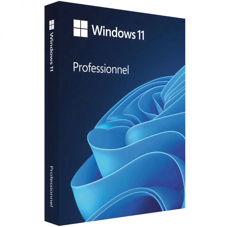 Microsoft Windows 11 Professional, BOX USB pack
