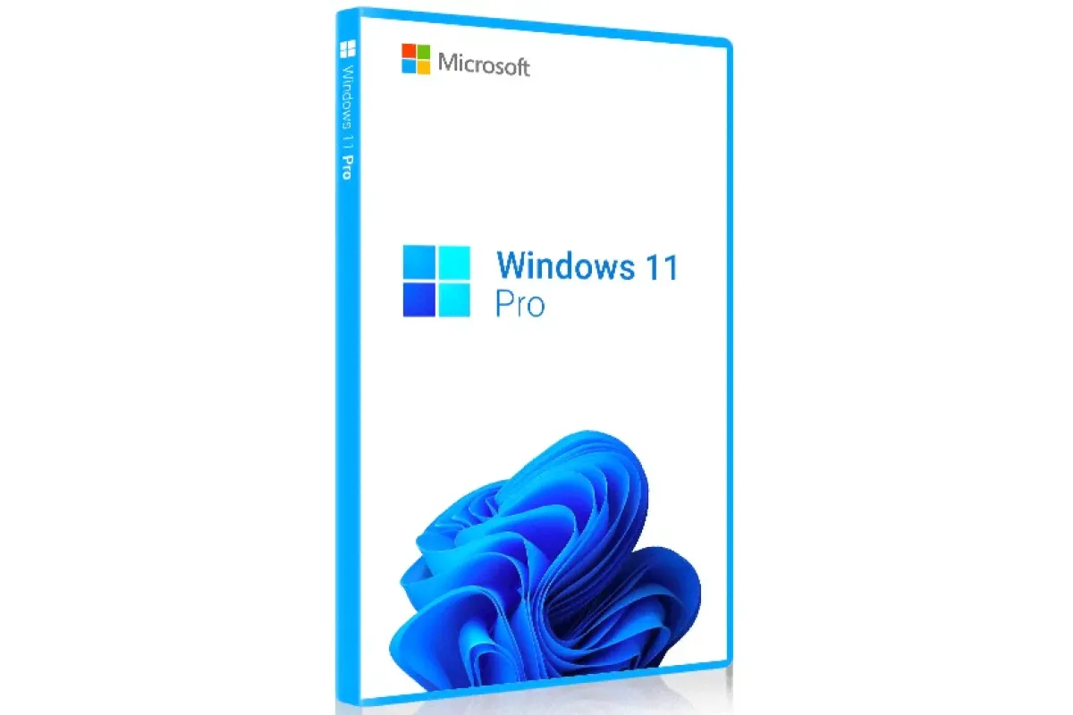 Microsoft Windows 11 Professional ESD