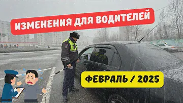 Изменения для водителей в феврале 2025: штрафы, шины, бензин, ОСАГО