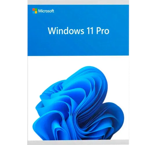 Microsoft Windows 11 Professional OEM 64 bit ENG