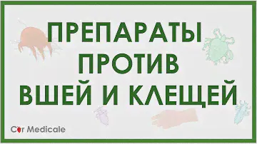 Препараты от педикулеза - против вшей и клещей