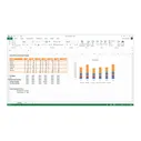 Microsoft Office 2013 Professional (x32/x64) BOX [269-16355]