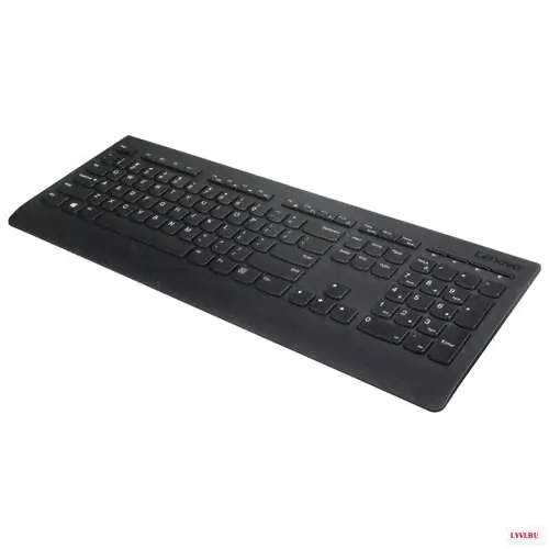 Клавиатура Lenovo Professional Wireless (4X30H56866)-0