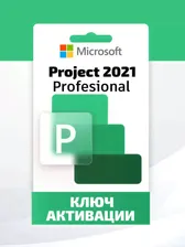 Microsoft Project Professional 2021