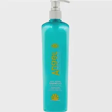 Angel Professional шампунь Dual Repair, 500 мл