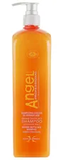 Шампунь для окрашенных волос Angel Professional